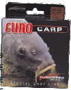 Tubertini Schnur Euro Carp 500m Spule