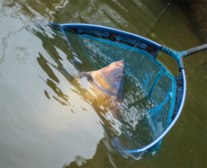 Preston Latex Match Landing Net oval 45cm, gummiert