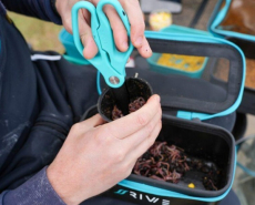 RIVE Wurmschere mit Doppelklinge, titanbeschichtet, Modell 2025/2026