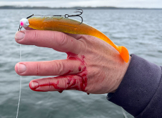 Lindy Fisch-Lande Handschuh XXL - Linkshand (copy)